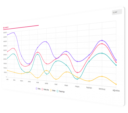 Oto servis takip programı Bilanço Grafiği