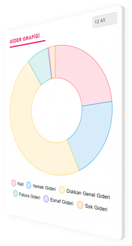 Oto servis takip programı Gider Grafiği